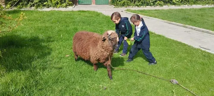 Atención cercana y personalizada